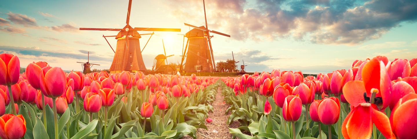 Receive FREE Airfare on select 2025 Avalon River Cruises!